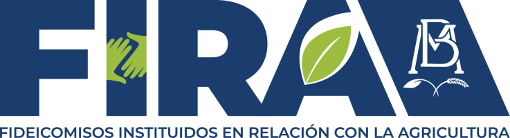 Aula Virtual de FIRA - Operaciones